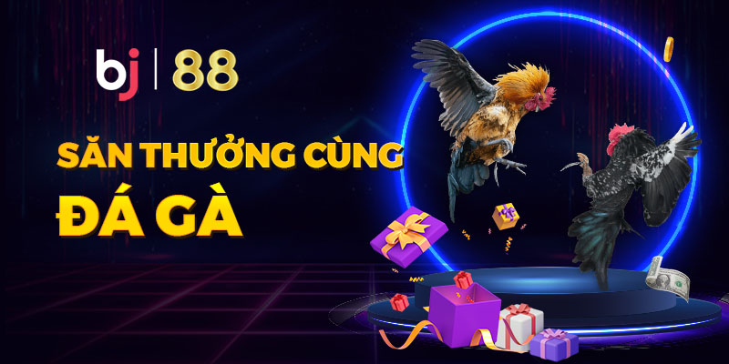 Xem đá gà BJ88 kịch tính và hấp dẫn hàng ngày