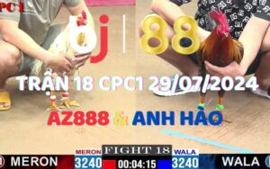 Trận 18 CPC1 29/07/2024 - AZ888 Nhận Thất Bại Khi Gặp Cọp Của Anh Hào