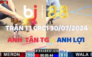 Trận 13 CPC1 30/07/2024 - Gà Anh Tân Tiền Giang Đá 1 Tay Nước Ăn Luôn