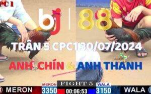 Trận 5 CPC1 30/07/2024 - Que Chân Xanh Của Anh Thang Đâm Nát Đối Thủ