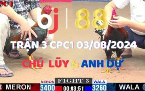 Trận 3 CPC1 3/8/2024 - Gà Anh Dự Trạng Nhỏ Vẫn Dí Bạc Chú Lũy